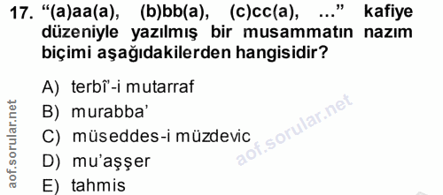 Soru 17