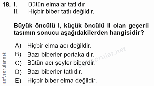 Soru 18