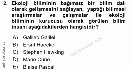 Soru 2