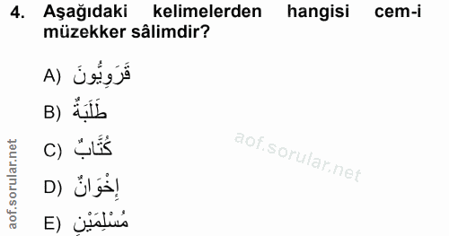 Soru 4