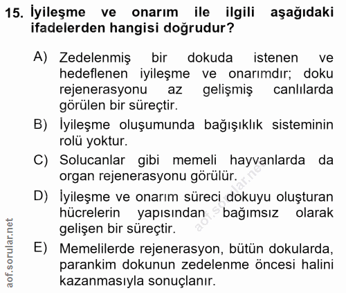 Soru 15