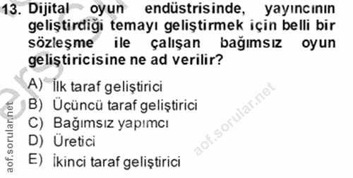 Soru 13