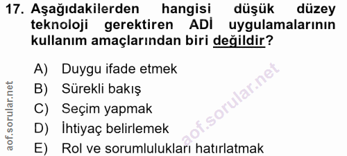 Soru 17