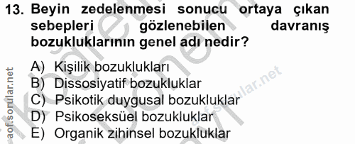 Soru 13
