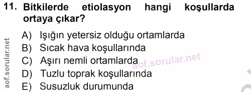 Soru 11