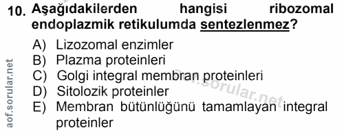 Soru 10