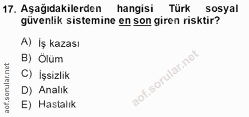 Soru 17