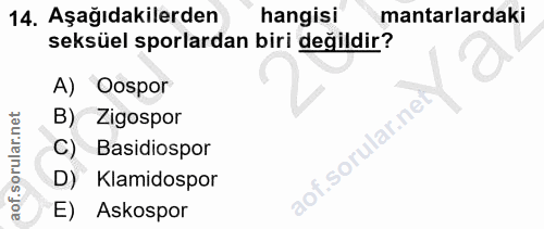 Soru 14