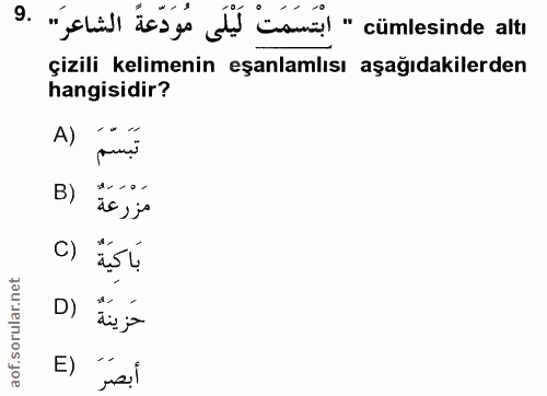 Soru 9