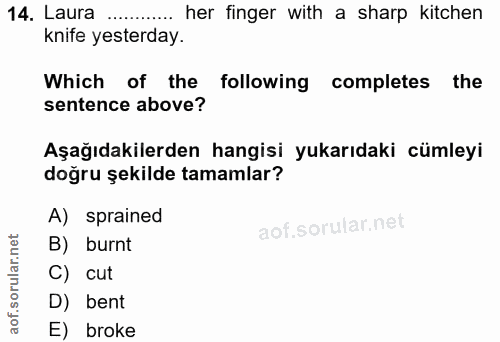 Soru 14