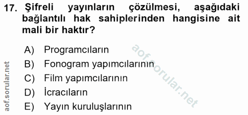 Soru 17
