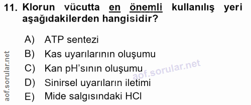 Soru 11