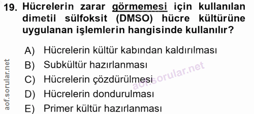 Soru 19