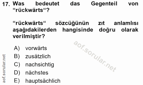 Soru 17