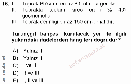 Soru 16