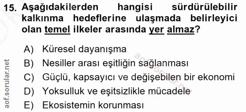 Soru 15