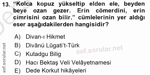 Soru 13