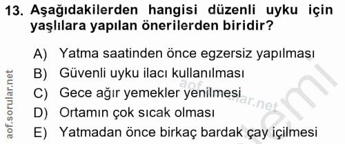 Soru 13