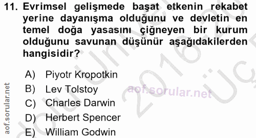 Soru 11