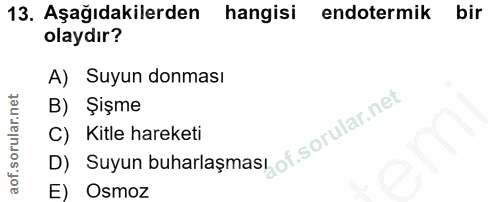 Soru 13