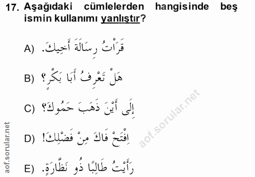Soru 17