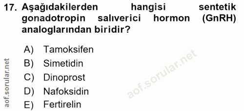 Soru 17