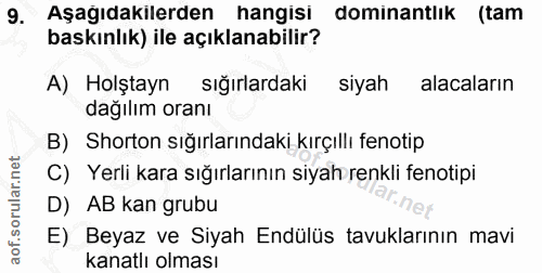 Soru 9