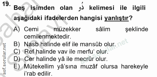 Soru 19
