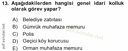 Soru 13