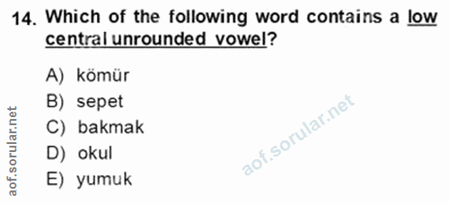 Soru 14