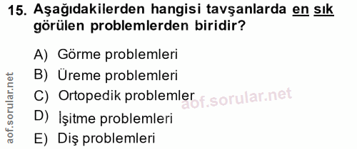 Soru 15