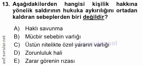 Soru 13