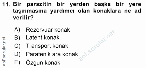 Soru 11