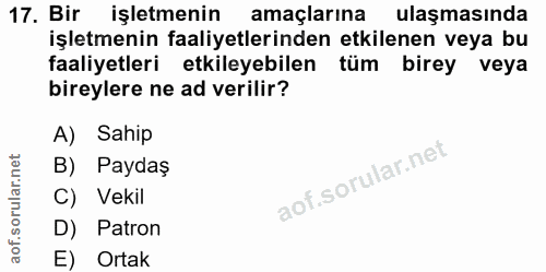 Soru 17