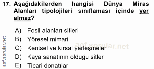 Soru 17