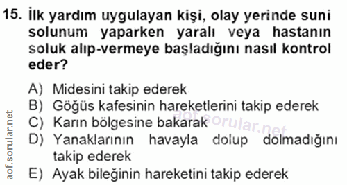 Soru 15