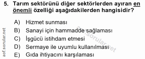 Soru 5