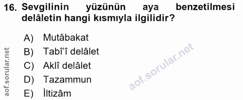 Soru 16