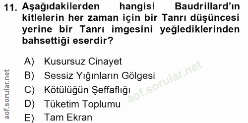 Soru 11