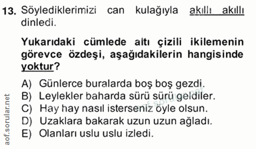 Soru 13