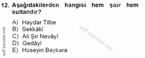 Soru 12