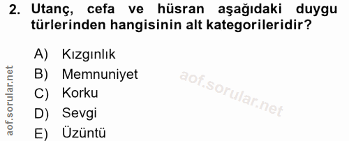 Soru 2