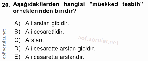 Soru 20