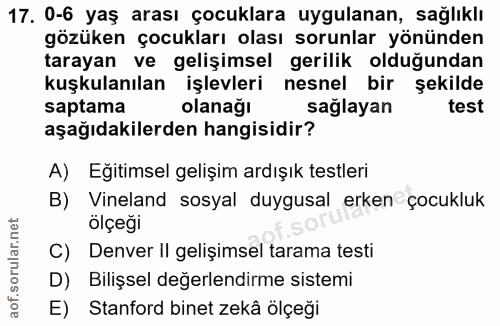 Soru 17