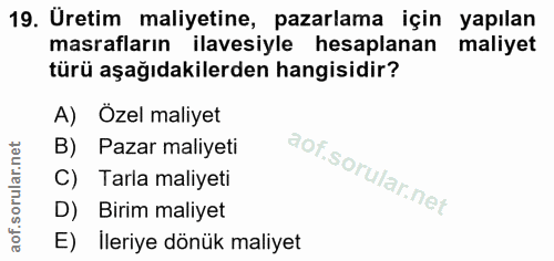 Soru 19