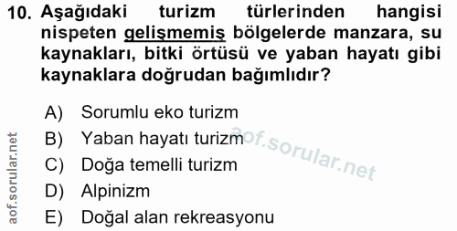 Soru 10