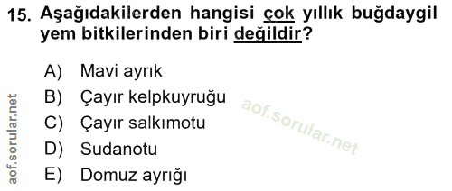 Soru 15