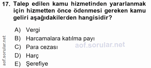 Soru 17