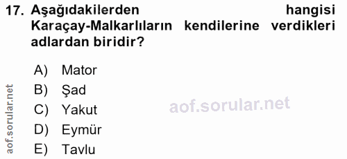 Soru 17