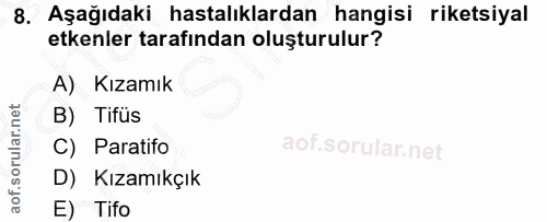 Soru 8